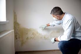 Best Forensic Mold Investigation  in Middleport, OH